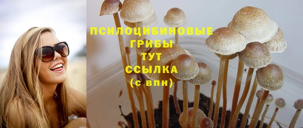 Альфа ПВП Куйбышев