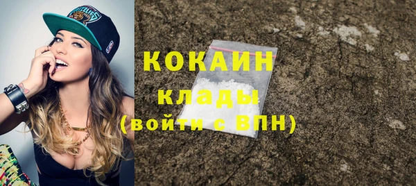 сатива Кукмор