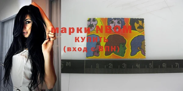 сатива Кукмор