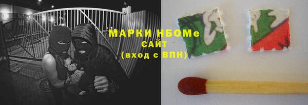сатива Кукмор