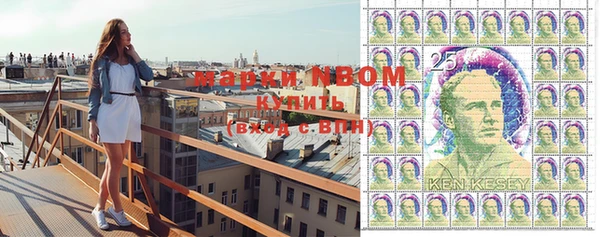 сатива Кукмор