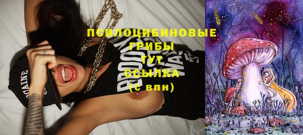 Альфа ПВП Куйбышев