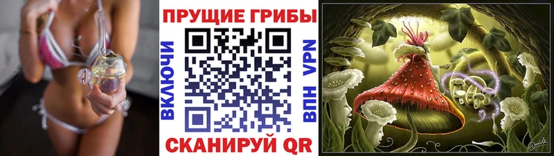 кракен ONION  Емва  Галлюциногенные грибы мухоморы  цена  